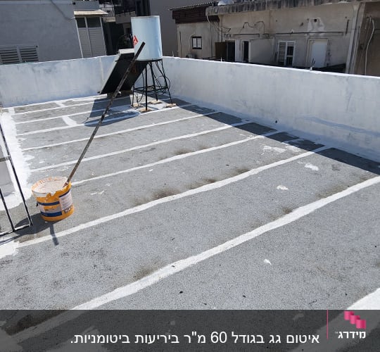 גג עם חומרי איטום ודלי צבע